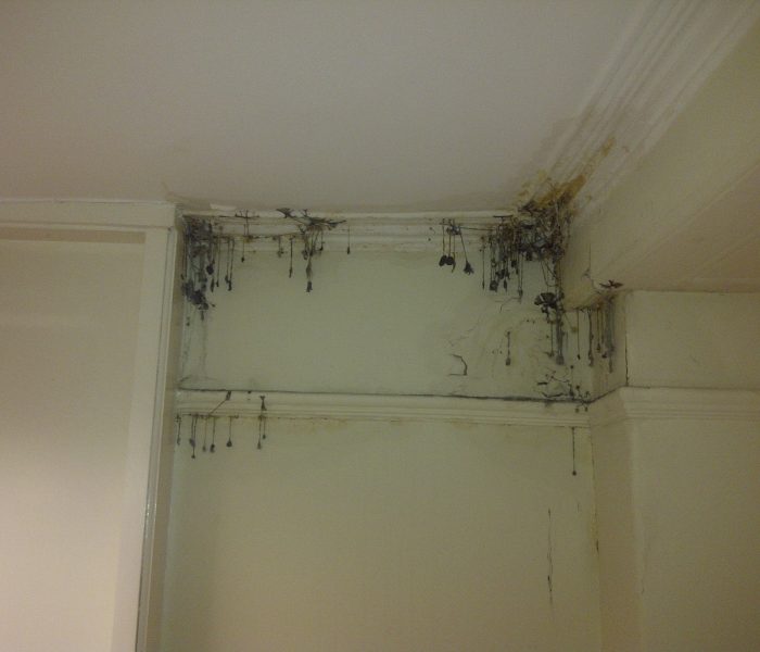 Why condensation is frequently confused with rising damp